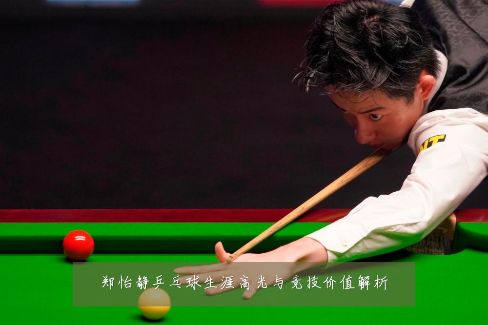 郑怡静乒乓球生涯高光与竞技价值解析